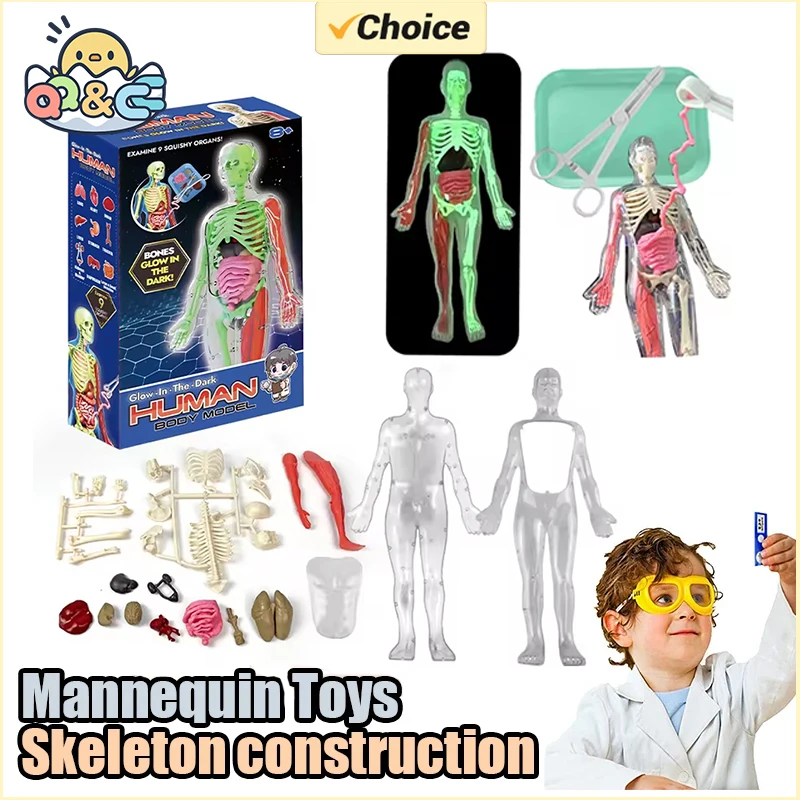 Alat Bantu Model Pengajaran Bi - Model Kit Fantasy ulasan dan harga
