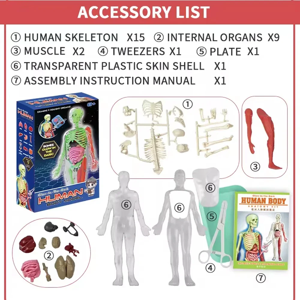 Alat Bantu Model Pengajaran Bi - Model Kit Fantasy ulasan dan harga